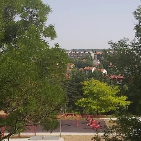 Miljakovac Borska *